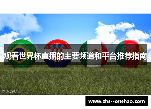 观看世界杯直播的主要频道和平台推荐指南