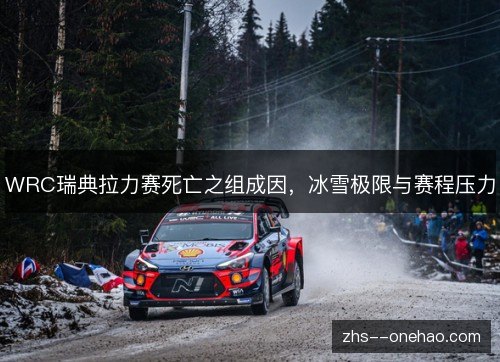 WRC瑞典拉力赛死亡之组成因,冰雪极限与赛程压力 WRC瑞典拉力赛死亡之组成因,冰雪极限与赛程压力